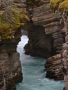 Raging river flowing through narrow gorge with layered eroded rocks at Athabasca Falls in Jasper National Park, Alberta, Canada. Royalty Free Stock Photo