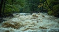 A raging river swollen by the constant deluge of rain rushing through the forest and knocking down trees in its path Royalty Free Stock Photo