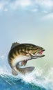 Smallmouth Bass jumps out of water realistic illustration.