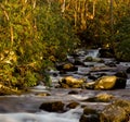 Raging stream in spring in Smokies Royalty Free Stock Photo