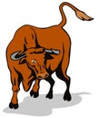 Raging texas longhorn bull