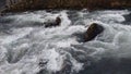 Raging Torrent River Royalty Free Stock Photo