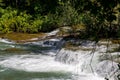 Raging waterfalls surrounded by trees