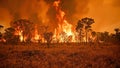 Raging wildfire in African savanna with villagers creating firebreaks Royalty Free Stock Photo