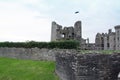 Raglan Castle and Moat