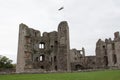 Raglan Castle and Moat