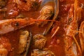 Ragout with shrimps and shellfish in tomato sauce. Appetizing seafood ragout. Royalty Free Stock Photo
