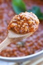 Ragu On Spoon Detail Royalty Free Stock Photo