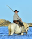 Raider and White Camargue horse on water