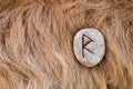 Raido or Raidho Nordic stone rune on animal fur. Letter Raed of the Viking alphabet
