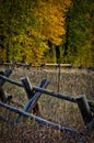 Rail Fence with Cottonwoods