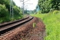 Rail journey squirm like a snake in the woods Royalty Free Stock Photo
