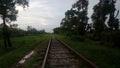 nature with railway