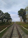 A rail road that runs through the trees