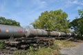 Rail tank cars among dense vegetation