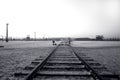 Rail track in Auschwitz / Birkenau Royalty Free Stock Photo