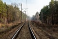 Rail track going deep into the forest. Royalty Free Stock Photo
