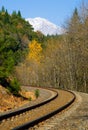 Rail tracks Royalty Free Stock Photo