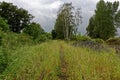 Rail tracks overgrown in green grass Royalty Free Stock Photo