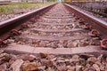 Rail way, major infrastructure for transportation