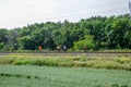 Rail workers want to go along the tracks and repair the rails. Repair work on the railway