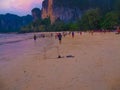 Railay island, Thailand - February 01, 2010: Tropical landscape. Railay beach, Krabi, Thailand Royalty Free Stock Photo