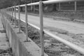 Railing on the street - Perspective view Royalty Free Stock Photo