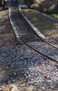 Railriad tracks in the forest Royalty Free Stock Photo