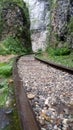 Railroad calling to the path in the gorges of Guamka, North Caucasus.