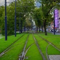 Railroad covered in grass