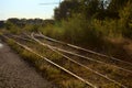 Railroad covered by tall grass at sunset