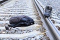 Railroad crossing. on it is a backpack, shoes, glasses. The concept of increased attention to the ways Royalty Free Stock Photo