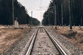 railroad crossing. rail close-up. have toning. the horizon is not even