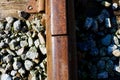 Railroad details