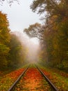 Railroad at early misty autumn morning. Royalty Free Stock Photo