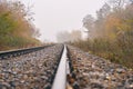 Railroad in the fog in the autumn forest Royalty Free Stock Photo