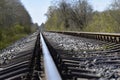 Railroad in the forest with concrete sleepers.