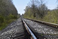 Railroad in the forest with concrete sleepers.