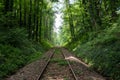 The railroad in a forest ,Germany