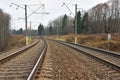 Railroad in the forest