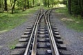 Railroad in the forest. Perspective. The paths diverge. Royalty Free Stock Photo