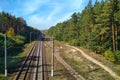 Railroad in the forest with trees