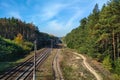 Railroad in the forest with trees