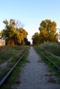 Autumn Trees Railroad Perspective Sunset Evening Train