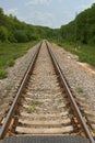 Railroad going into the distance through forest