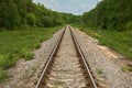 Railroad going into the distance through forest