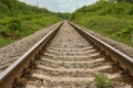 Railroad going into the distance through forest