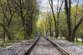 Railroad going through a forest