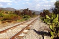 Railroad near teotihuacan mexico II