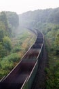 Railroad landscape. Empty freight train going at full speed among green trees in morning mist
